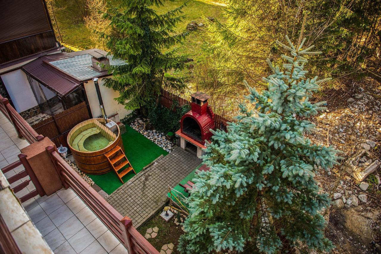 Отель Casa Maia Буштени Экстерьер фото
