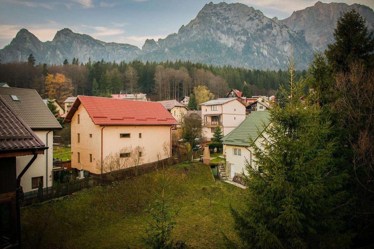 Отель Casa Maia Буштени Экстерьер фото